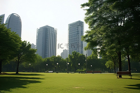 城市中心的一个公园，靠近几座高楼