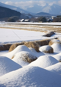 一片满是雪的田地，上面点缀着一些干草堆