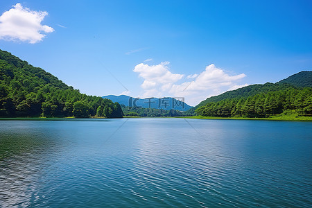 市民公约背景图片_湖上的蓝天映衬着绿色的森林