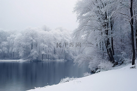 一个雪湖，周围有树木和树木
