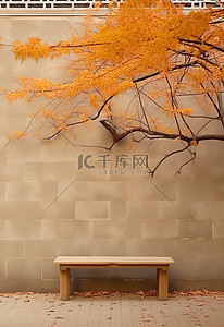 坐在树枝背景图片_在韩国和中国，一张长凳坐在墙边，上面有树枝和树叶