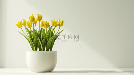 室内盆栽背景图片_白色简约室内场景清新花瓶盆栽的背景21