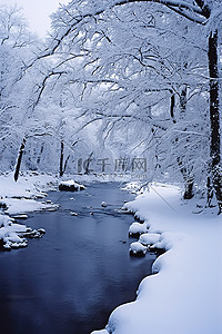 落背景图片_当雪落在河上时，雪覆盖了树木