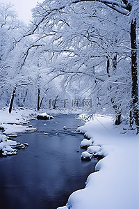 雪花落背景图片_当雪落在河上时，雪覆盖了树木