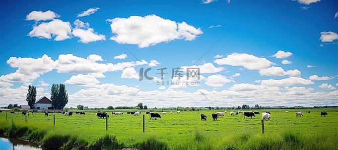 农场放牧背景图片_农场上空的蓝云