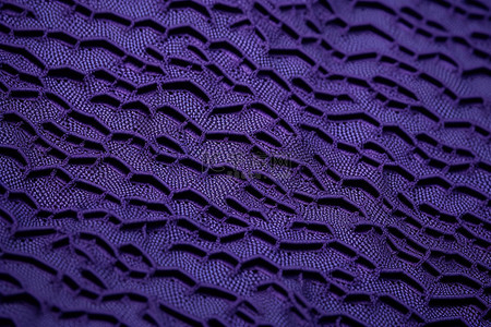 绣有紫色图案的布