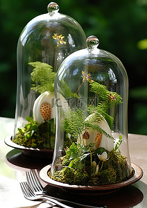 两个带装饰植物的玻璃容器玻璃钟