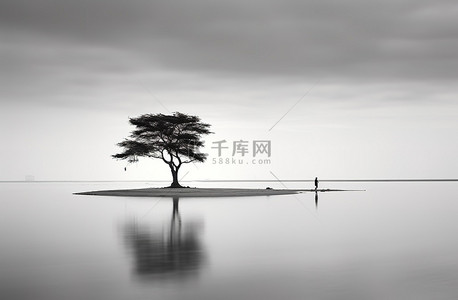 大片水域中央的一棵树的图像