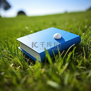 一本蓝板书坐在草地上