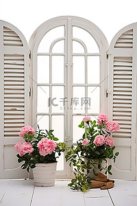 花盆栽背景图片_两朵花的图像，位于装饰华丽的白色百叶窗中