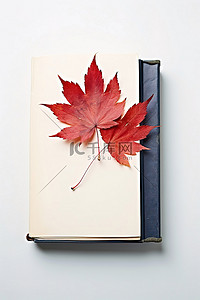 落叶的背景图片_关于秋天的落叶的书