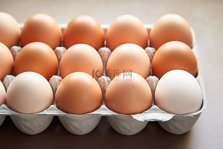 卵子质量