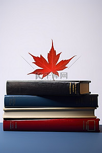 一摞书书背景图片_一摞书，上面有一片红叶
