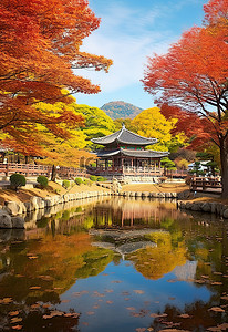 秋天人背景图片_韩国首尔是韩国著名的旅游胜地，秋天的树叶覆盖着树木