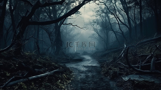 神秘而有雾的森林中怪异的弯曲树木黑暗而神秘的场景
