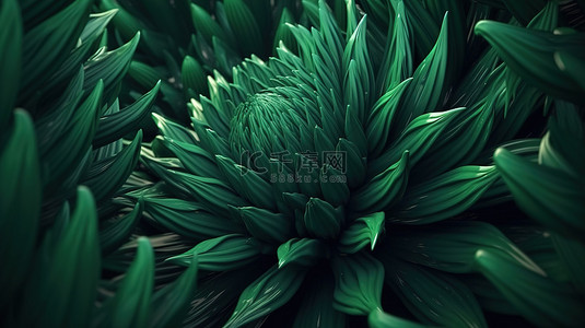 抽象热带背景图片_郁郁葱葱的 3D 渲染绿化抽象植物背景