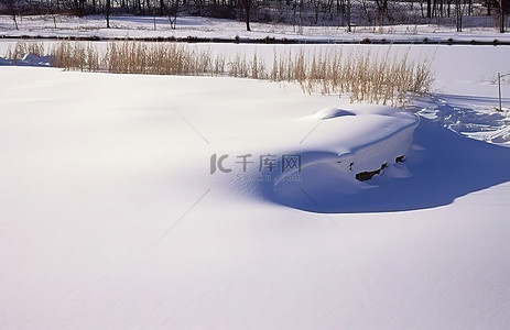 冬天背景图片_一个大池塘被雪覆盖了