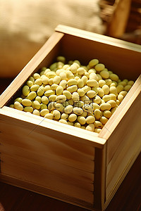 坐在木木盒子里的大豆