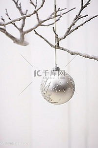 白墙旁边树枝上的圣诞装饰品