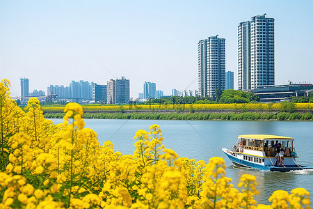 河上的小船被黄色的花朵包围