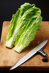 一把艾草背景图片_板上的生菜叶和一把刀
