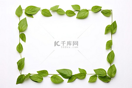 白色背景下由叶子制成的绿色方框