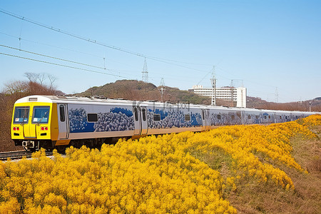 春天旅游背景背景图片_火车行驶在金黄色花朵盛开的铁轨上