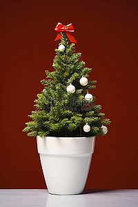 白盆里的小圣诞树
