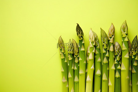素食健康背景图片_黄色背景下的绿色芦笋茎，白色茎