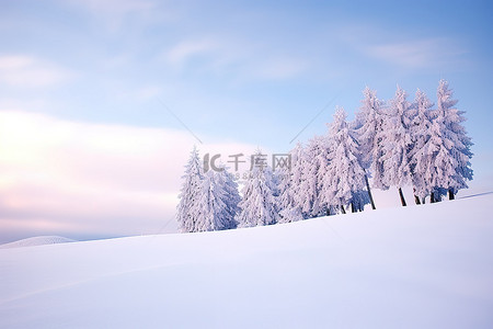 雪覆盖的场景，上面有树木和蓝天