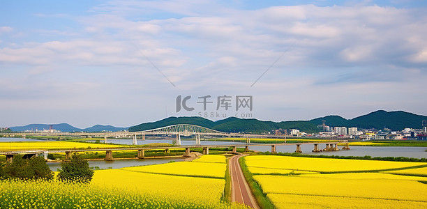 黄色公园背景图片_有一座桥的黄色花田