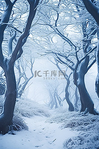 九州的雪树 韩国自然旅游指南