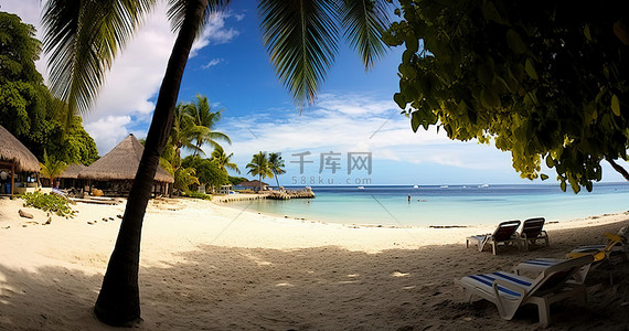 度假胜地背景图片_拿破仑海滩是马尔代夫著名的度假胜地