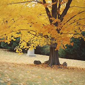 林肯公墓在秋叶照片中间
