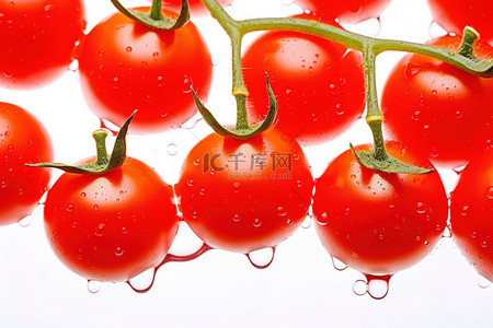 西红柿背景背景图片_白色背景上有水滴的红番茄