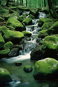 古诗瀑布背景图片_一条小溪流过树林里的岩石