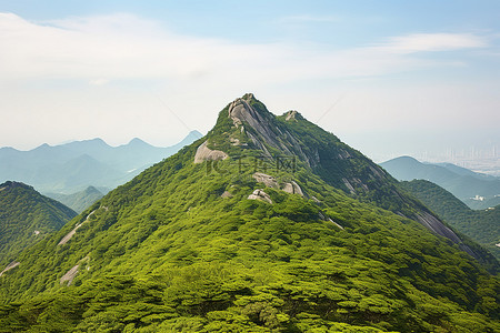 四季公园背景图片_虎峰虎头山香港公园山顶