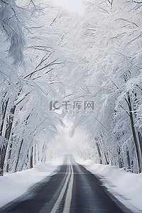 积雪覆盖的道路和积雪覆盖的树木的尽头