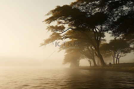 雾天行驶背景图片_雾天的树木和水