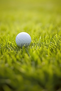 高尔夫球在绿草中