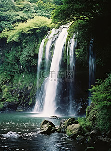 瀑布背景图片_灌木丛前面有一个瀑布