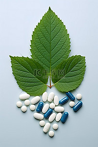 药丸背景图片_绿叶上有蓝色和白色的药丸