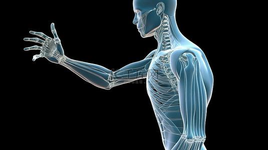 医学模型人背景图片_3D 医学模型展示拇指运动外展内收屈曲和伸展