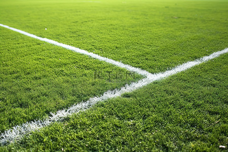 草地上用白线画了一个足球场