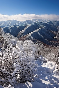 看山背景图片_从雪覆盖的灌木和山顶的山脊看