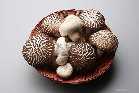 红玉米 黑蘑菇 白蘑菇 食用蘑菇