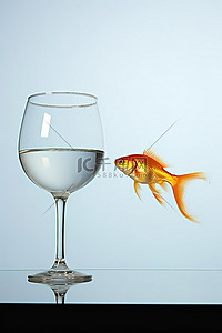 水碗和酒杯中金鱼的照片