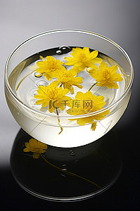 玻璃碗中黄色花朵的图像