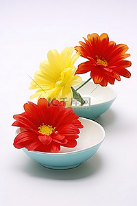 白色背景装饰盘中的两朵黄色和红色花朵