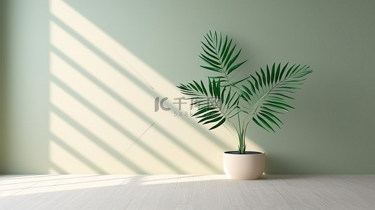 简约的房间氛围与棕榈树叶和墙壁阴影 3D 模型